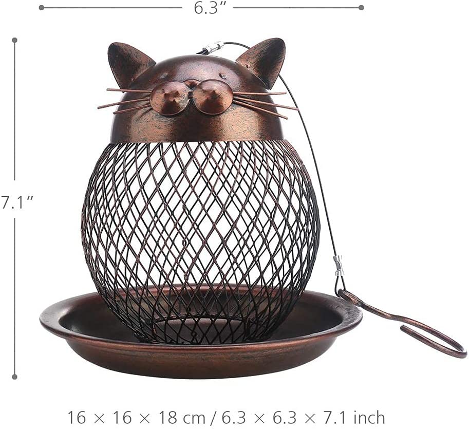 Kattenhond Eddie Dit Deden We Voor De Honden En Katten In 2023
