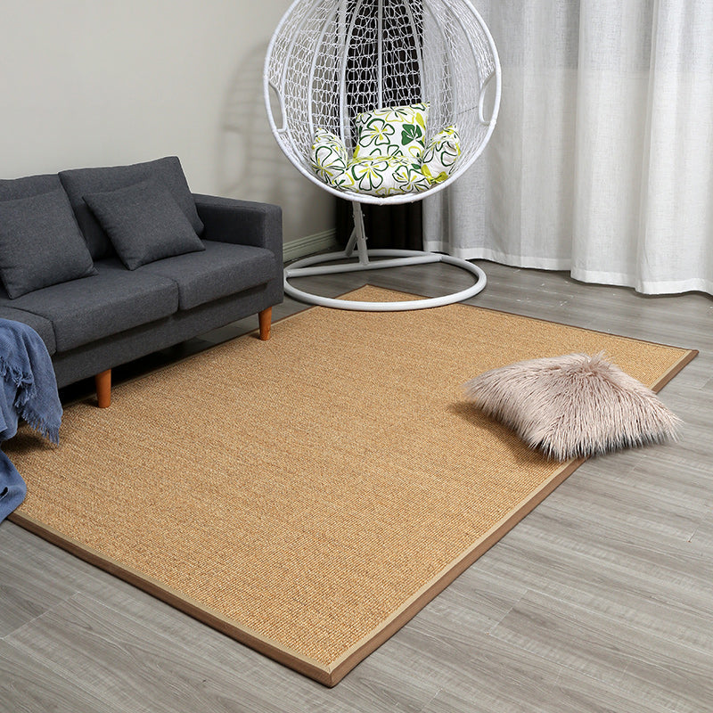 Brown Living Room Rug Countryside Plain Rug Jute Washable Anti-Slip Backing Pet Friendly Carpet - Brown - Clearhalo - 'Area Rug' - 'Rug' - 1933744