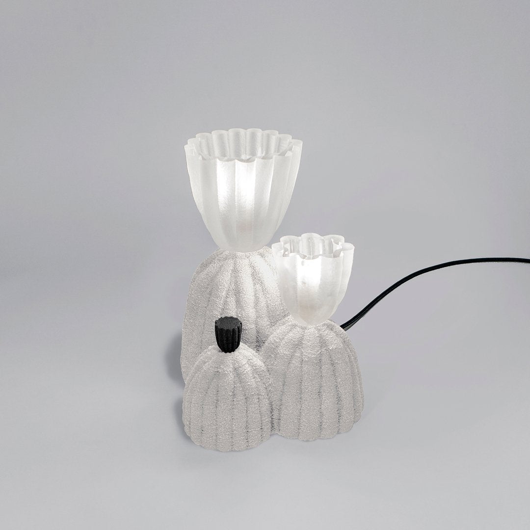 RBS Cactus Lamp