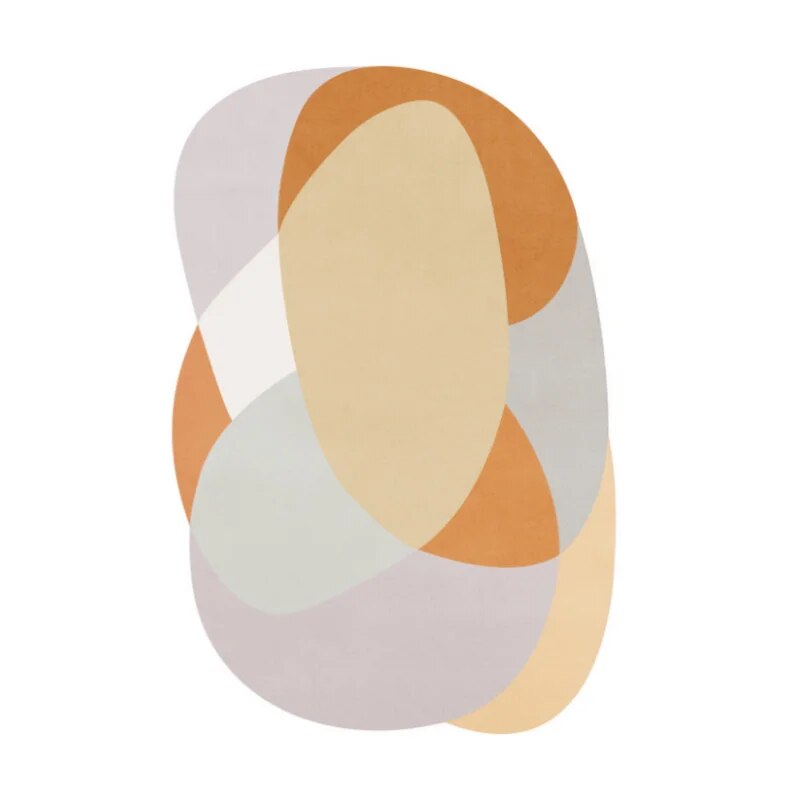 Large Area Carpets for Living Room Irregular Lounge Rug Nordic Bedroom Decor Non-slip Carpet Home Cloakroom Sh - view 8
