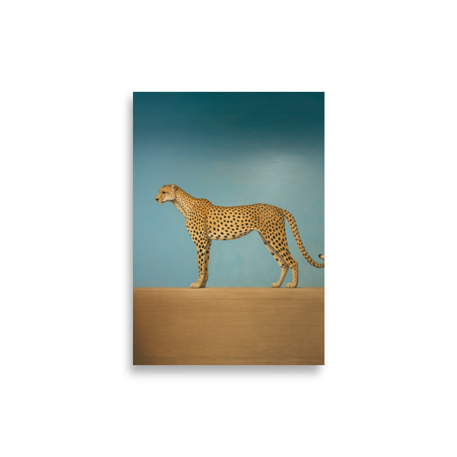 Life in Desert - view 2